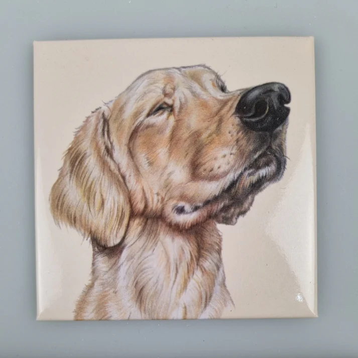 Fridge Magnet Labrador Retriever