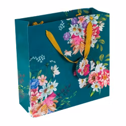 Radiance Presentpåse