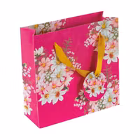 Radiance Presentpåse