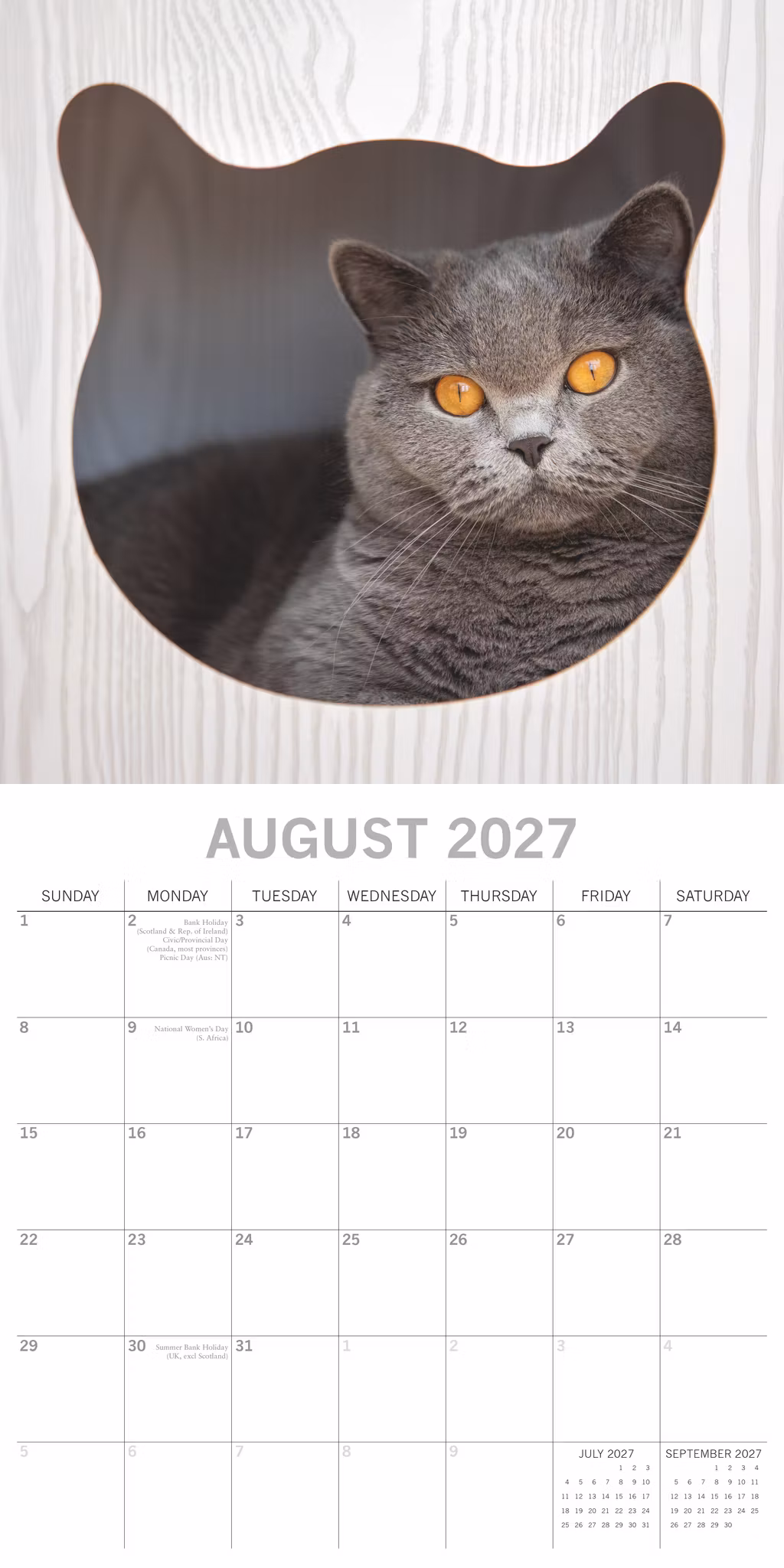Cats