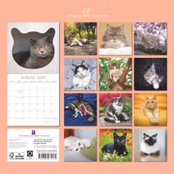 Cats