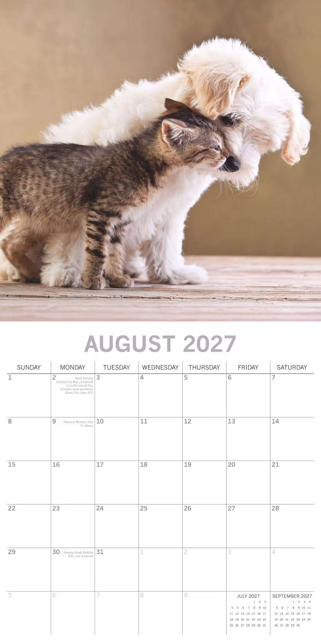 Cats & Dogs
