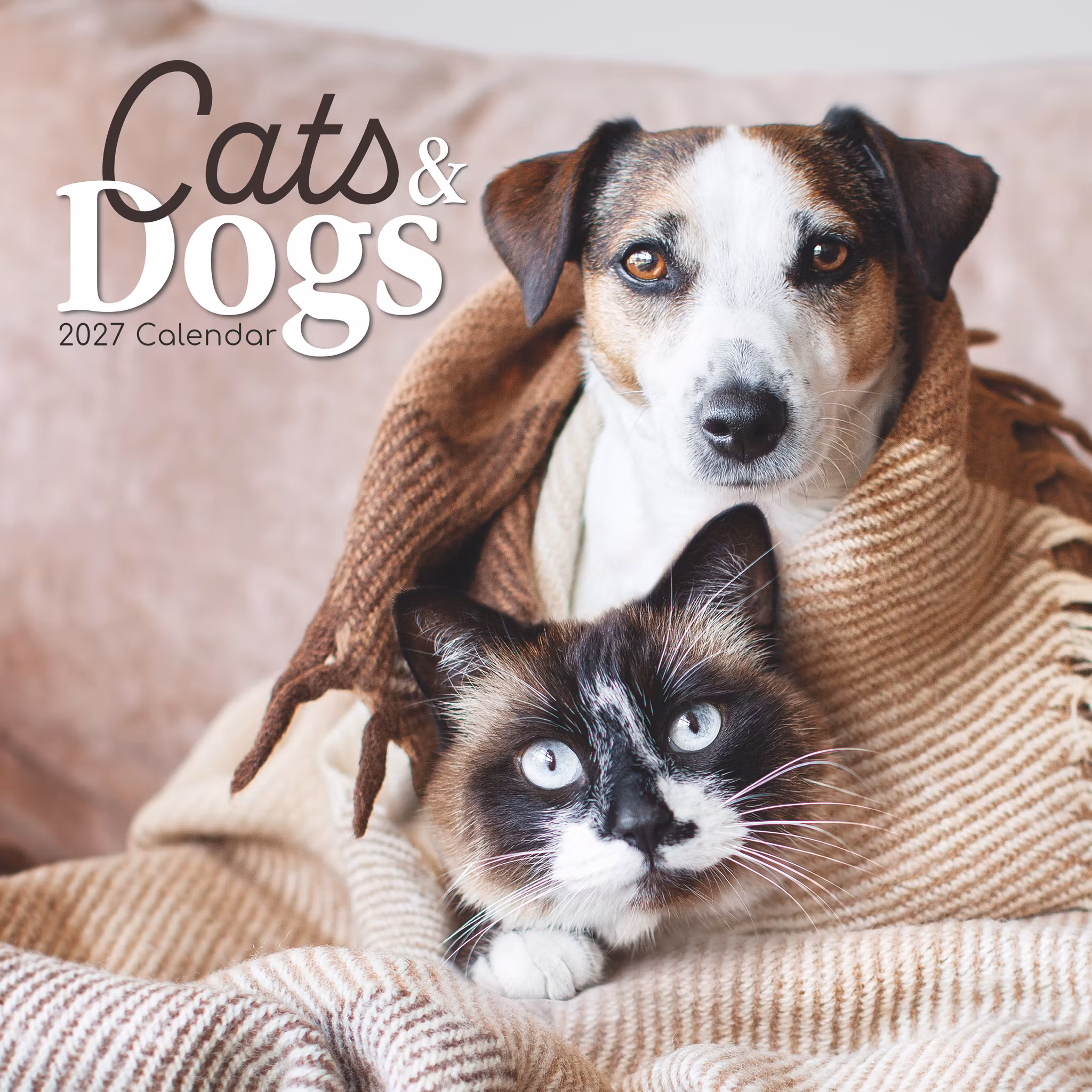 Cats & Dogs
