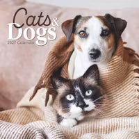 Cats & Dogs