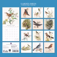 Garden Birds
