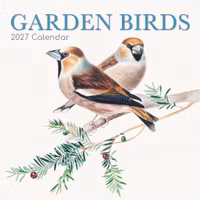 Garden Birds