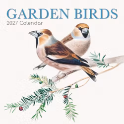 Garden Birds