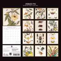 Insects