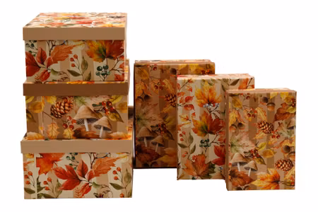 Aurumn Giftbox