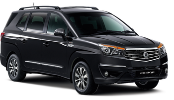 Window tint Ssangyong Rodius