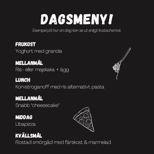 KOSTSCHEMA INDIVIDANPASSAT (UTAN UPPFÖLJNING)