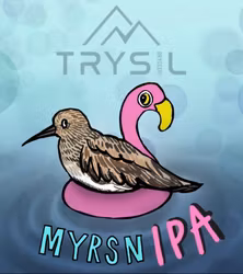 MyrsnIPA boks brett med 24 stk inkl pant. O.44