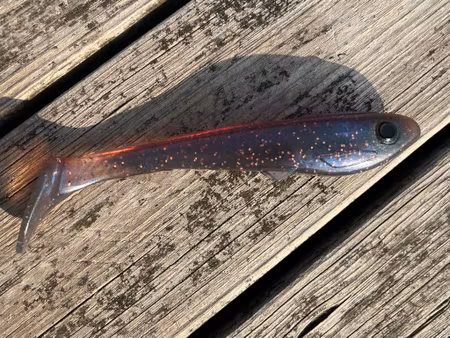 Beastly Shad Slim 15