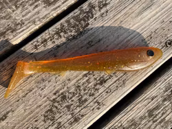 Beastlyshad Slim 15