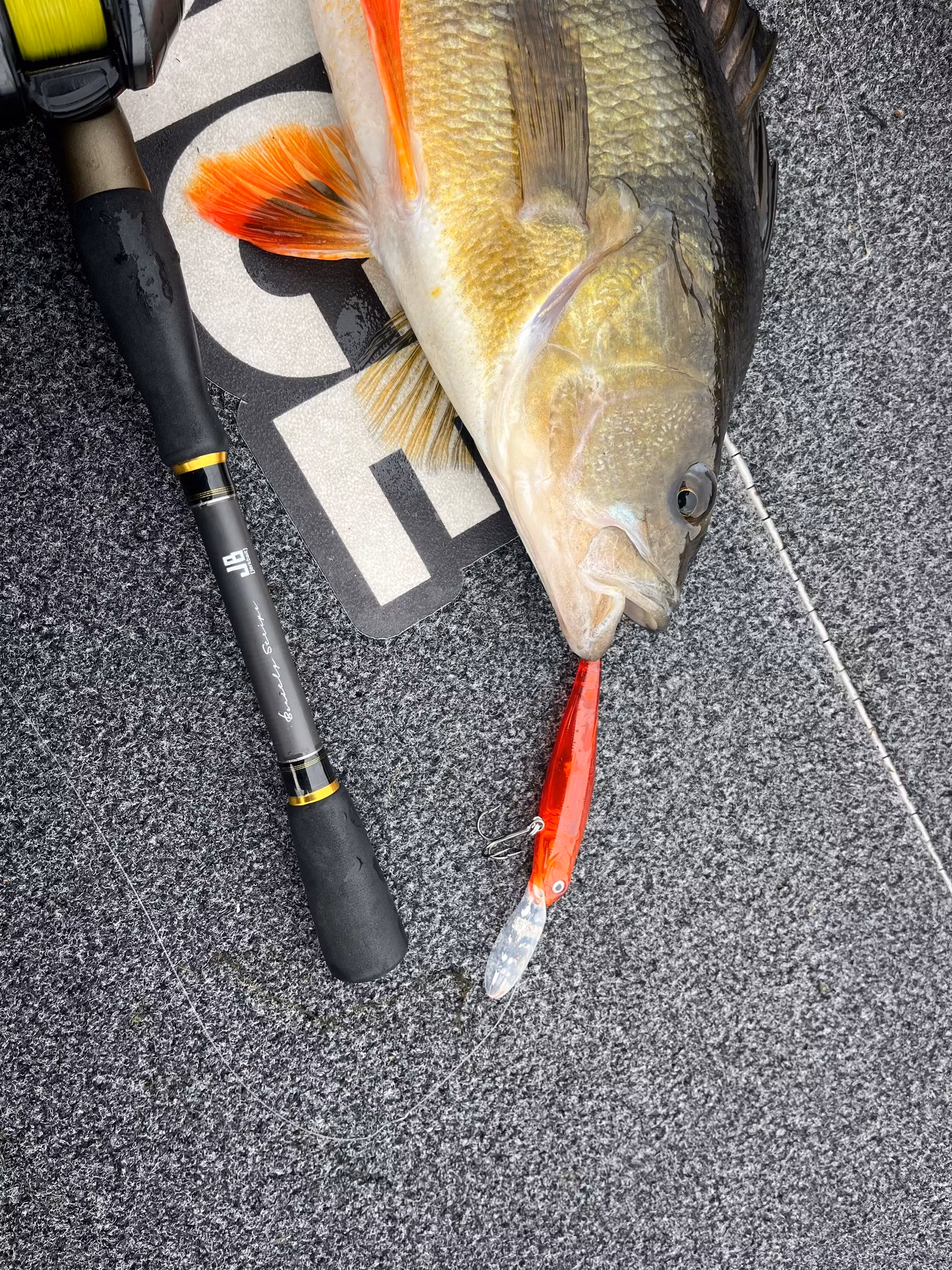 Renzstein | Beastly Diver 12g 90mm