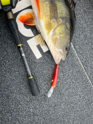 Beastly Diver 90mm 12gr