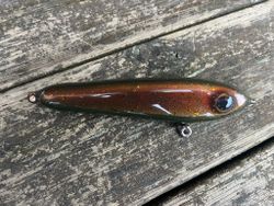 BeastGlide 17