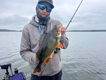 Beastly squarebill 50mm 10g Kommer snart!