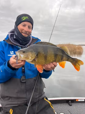 Beastly Stick 12cm 5pack 4g Kommer snart!