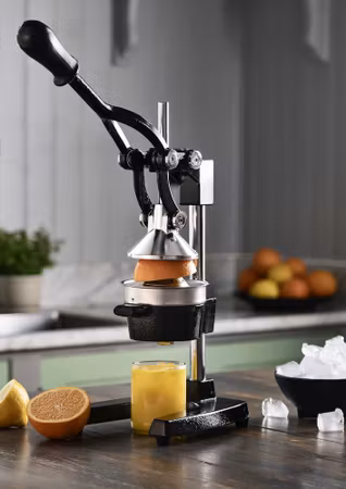 Juicepress- 410895