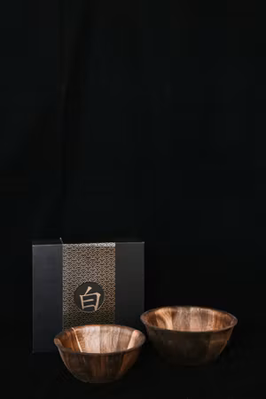Satake Shiro Skålset