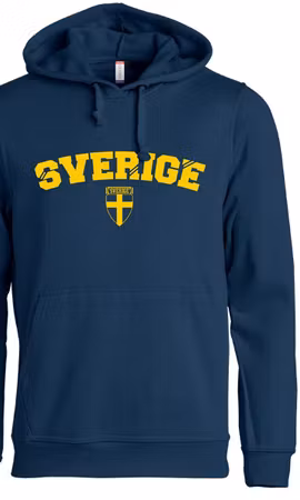 SVERIGE HOODY SR