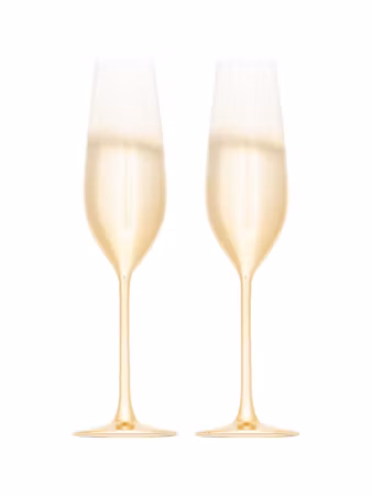 Champagneglas 2-pack - 411380