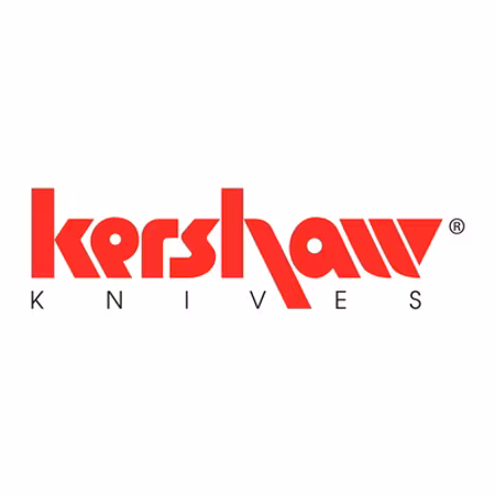 KERSHAW Amphibian Dykkniv i Rostfritt med Kydex hållare