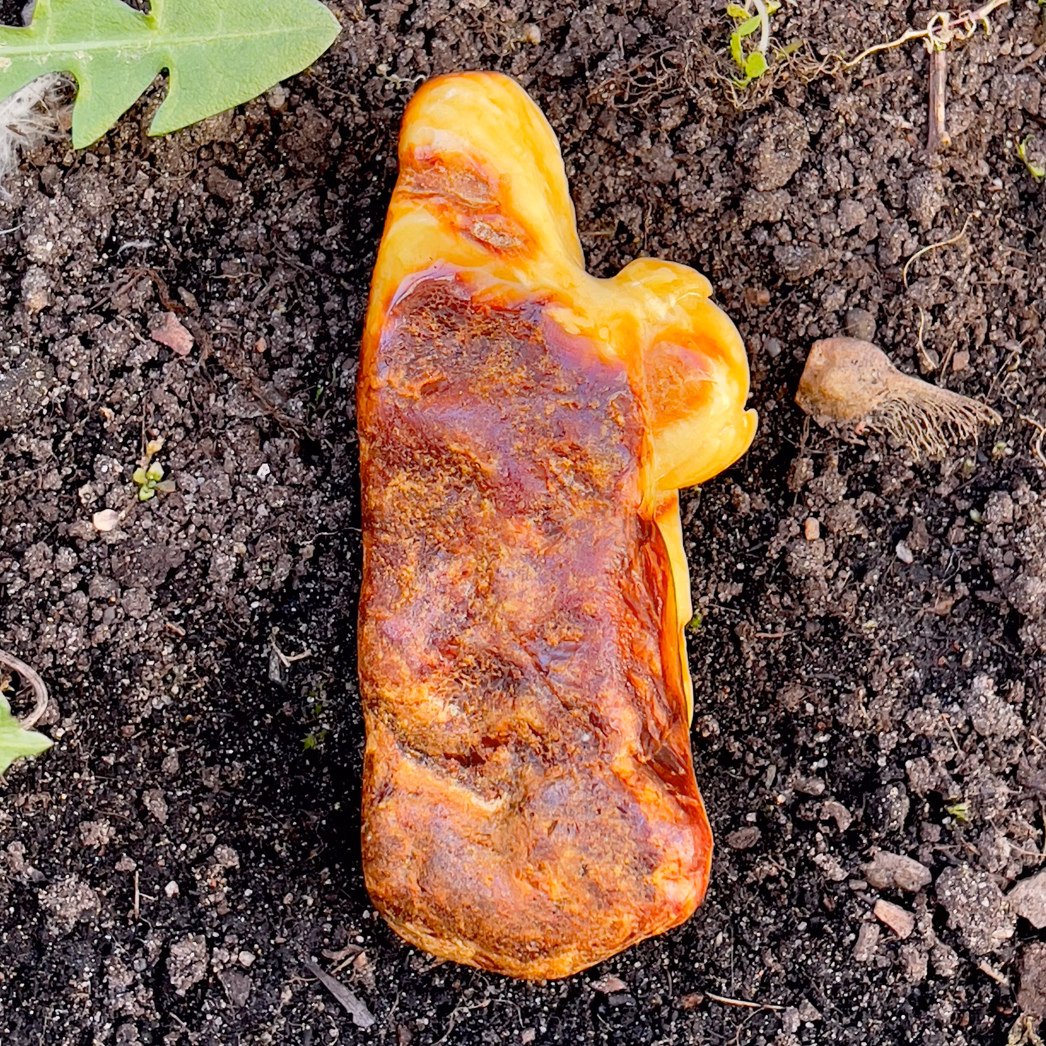 Qing Dynasty (1644-1912) Chinese carved pendant, Natural amber