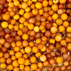 Gammal bakelit blandade pärlor 1308 g