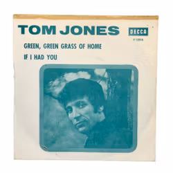 Tom Jones, Green Green Grass Of Home, Vinyl EP
