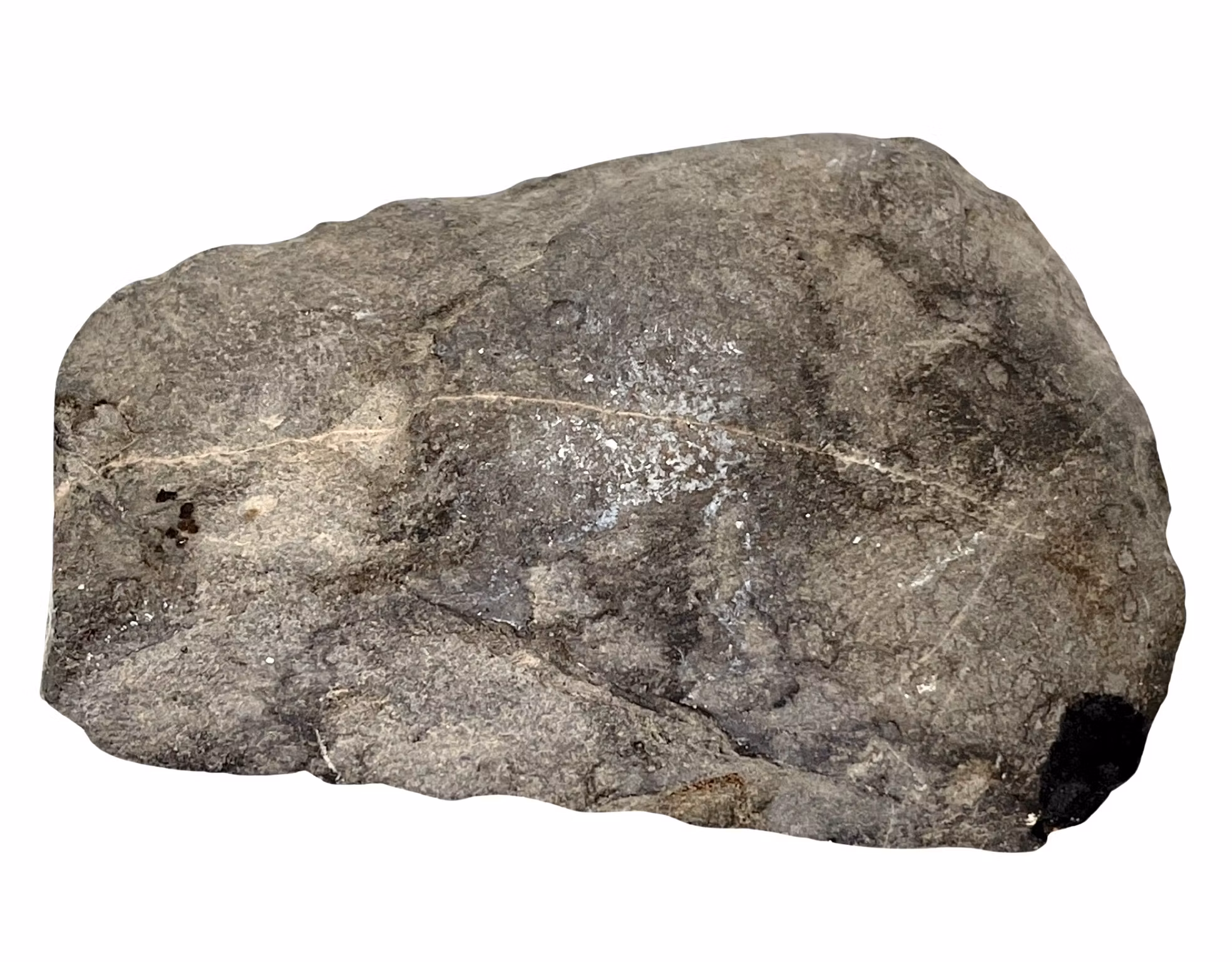 Ascia di pietra Ascia di roccia Limhamn, collezione Archeologia