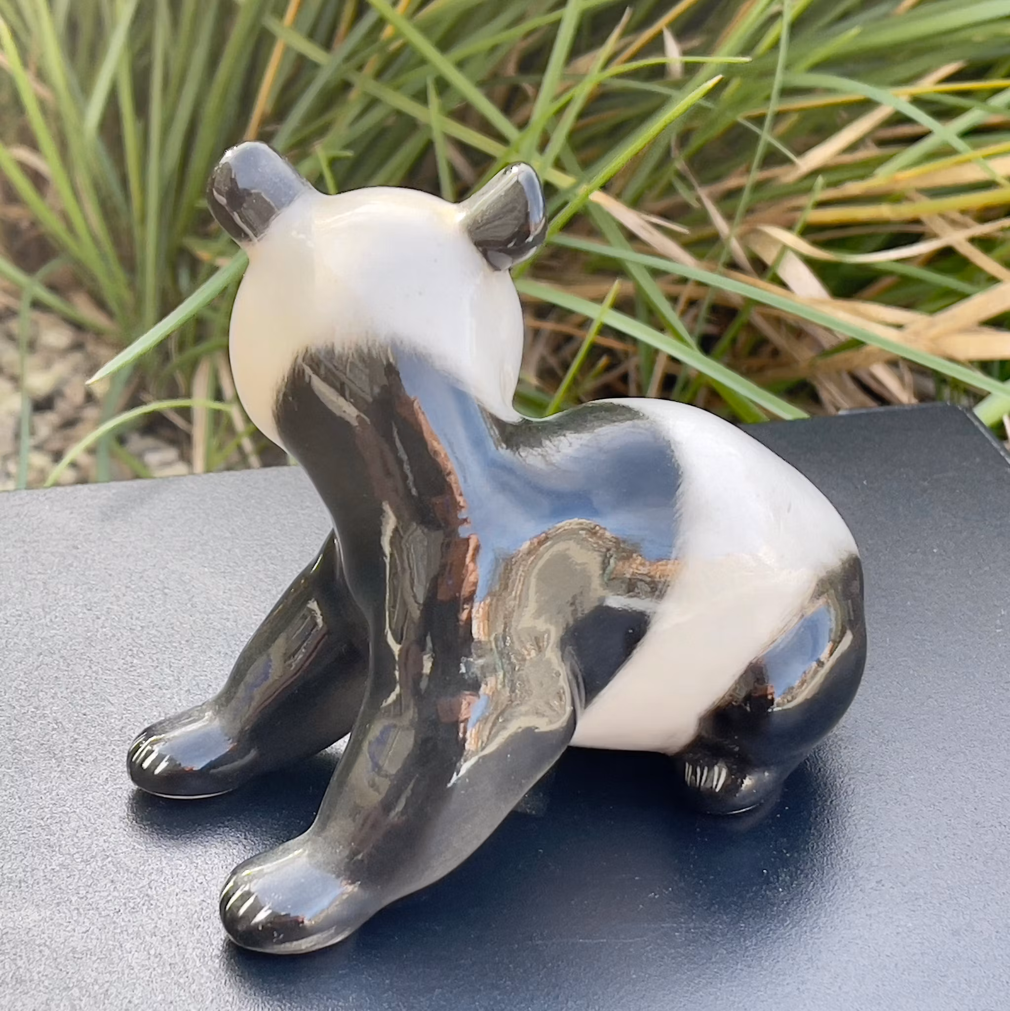 Panda, Lomonosov, USSR