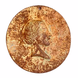 Napoléon Louis Bonaparte, Frankrike 1800-talet