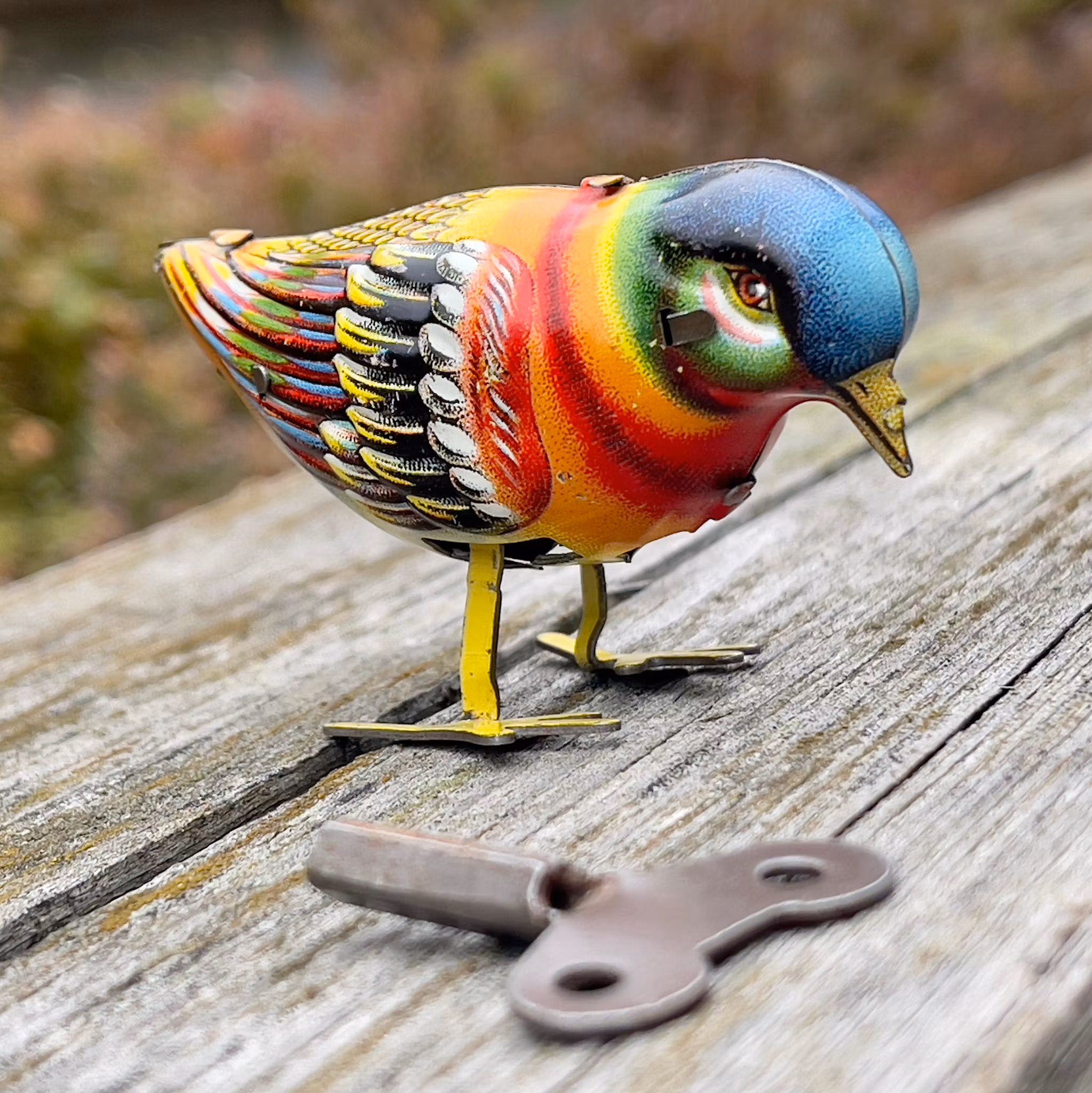 Giocattolo di latta, uccello meccanico, Germania