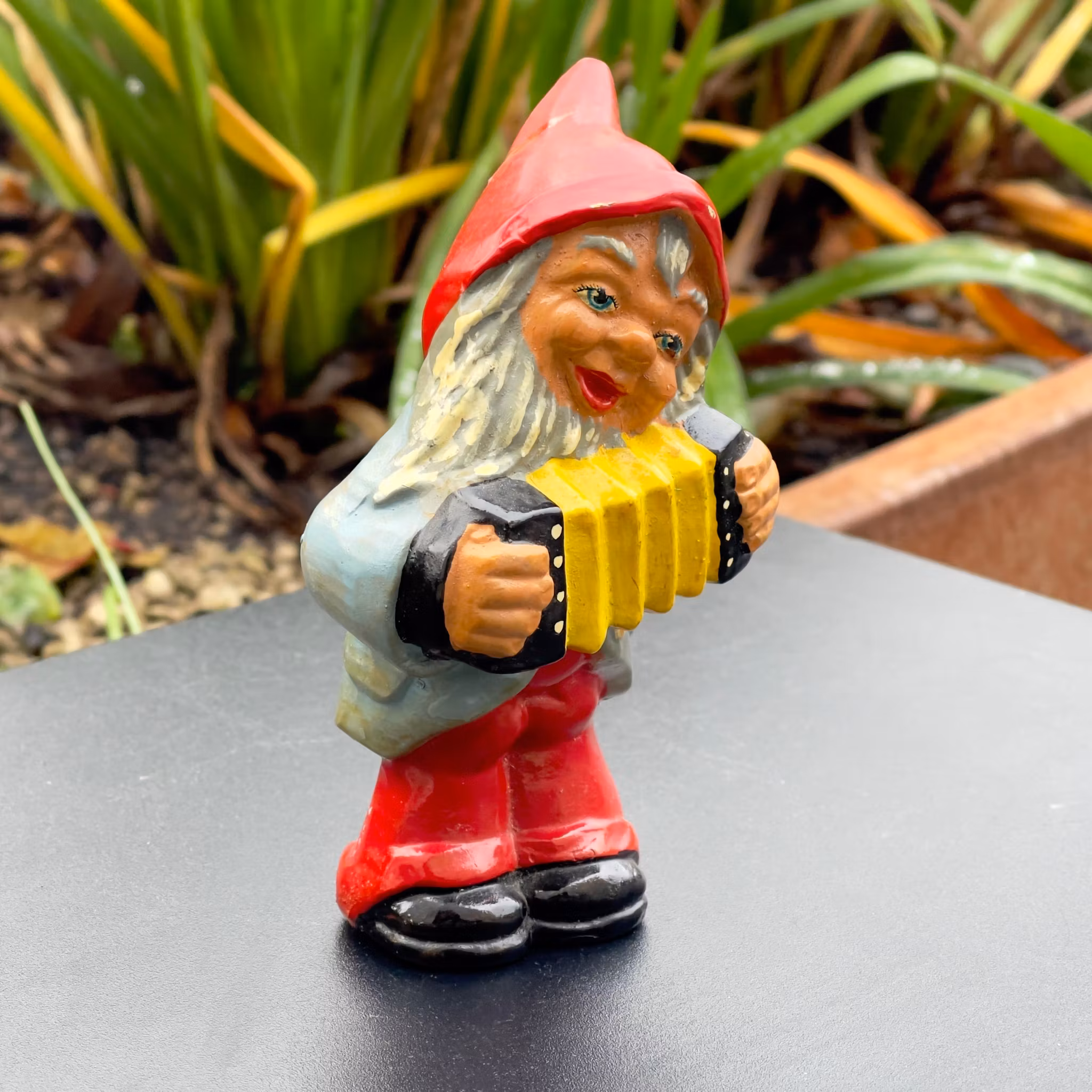 Starszy Mikołaj gra na akordeonie