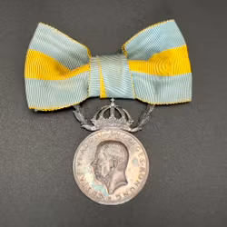 Förtjänstmedalj i silver, frivilliga sjukvården