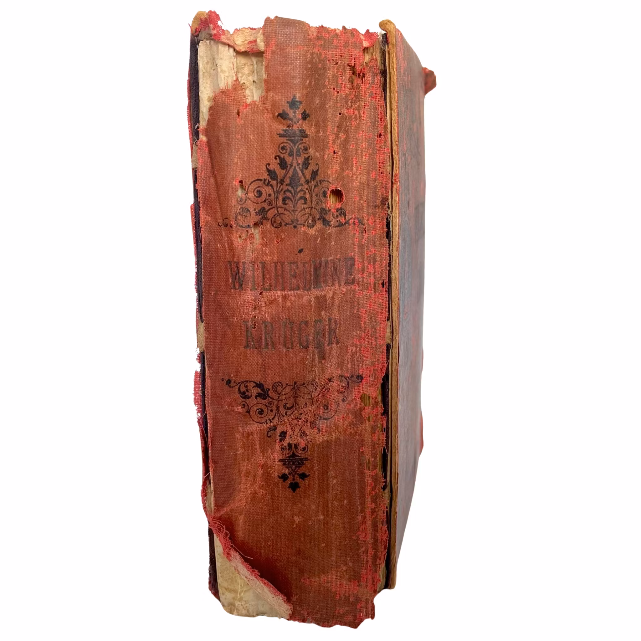 Wilhelmine Kruger 1901 transvaals hjältinna eller Blodsdiamanterna i kimberley