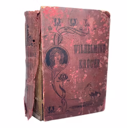 Wilhelmine Kruger 1901 transvaals hjältinna eller Blodsdiamanterna i kimberley