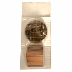 Svenska Medaljgillet Årets medalj 1975