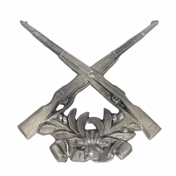 Schietvaardigheid, voorstellende twee gekruiste geweren bovenop een lauwerkrans, tin