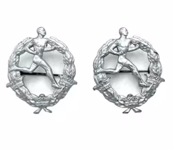 2 st, Militärt Löparmärke