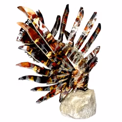 Roland Nilsson sculptuur in metaal, Drakenvis