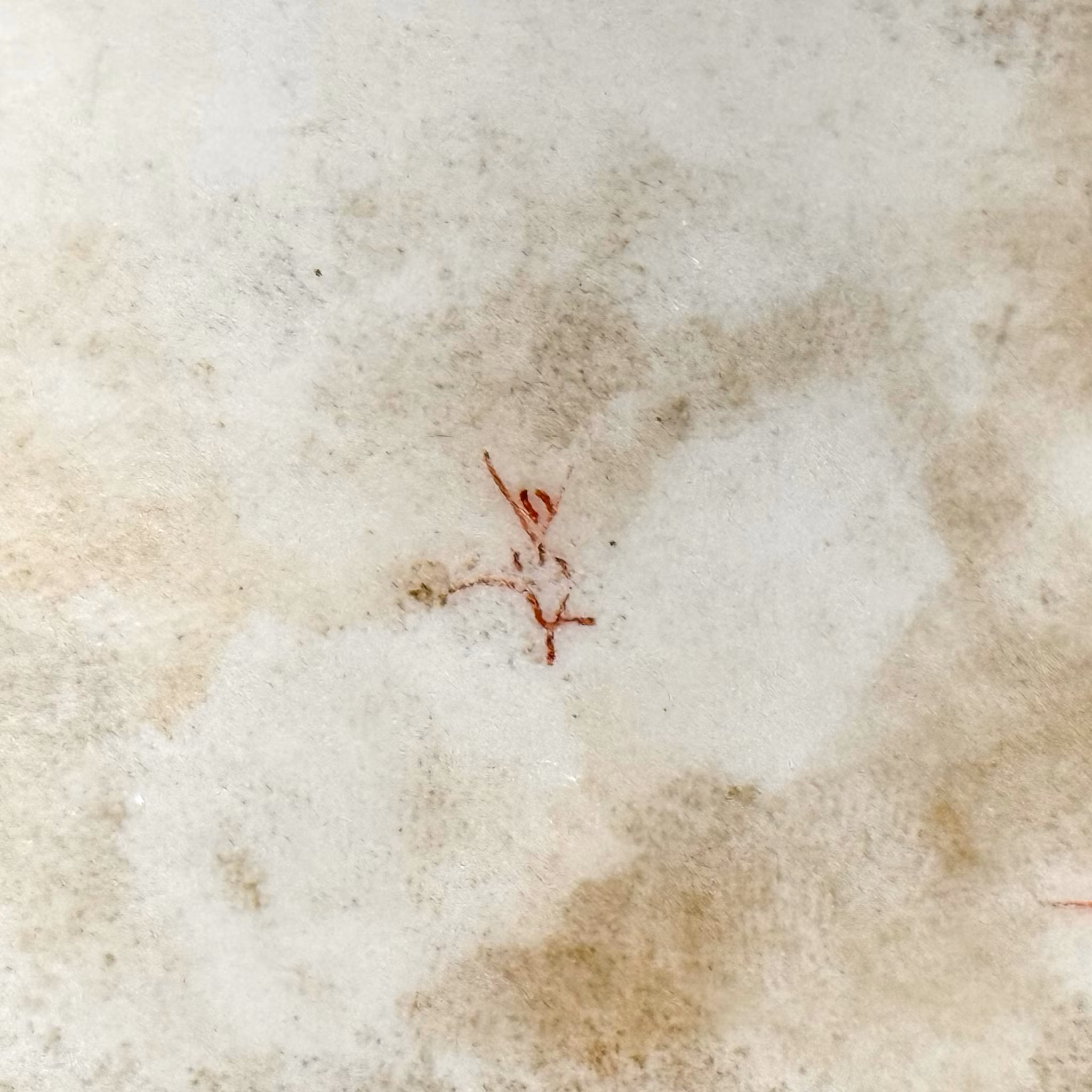 Japanische Porzellanschale mit vergoldeten Messingmontierungen, 19. Jahrhundert