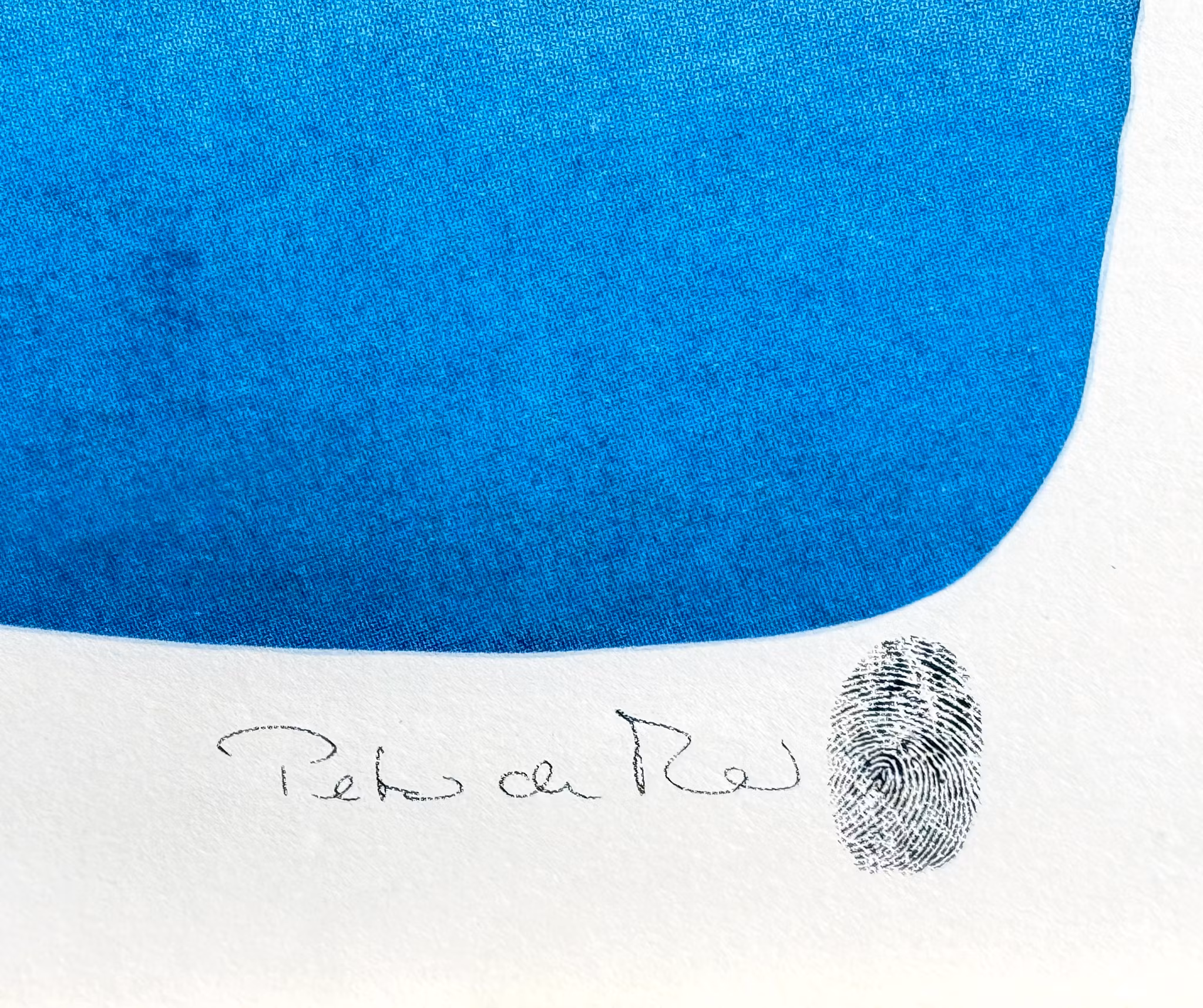 Cosmos. Litografía en color, impresión surrealista enmarcada, firmada