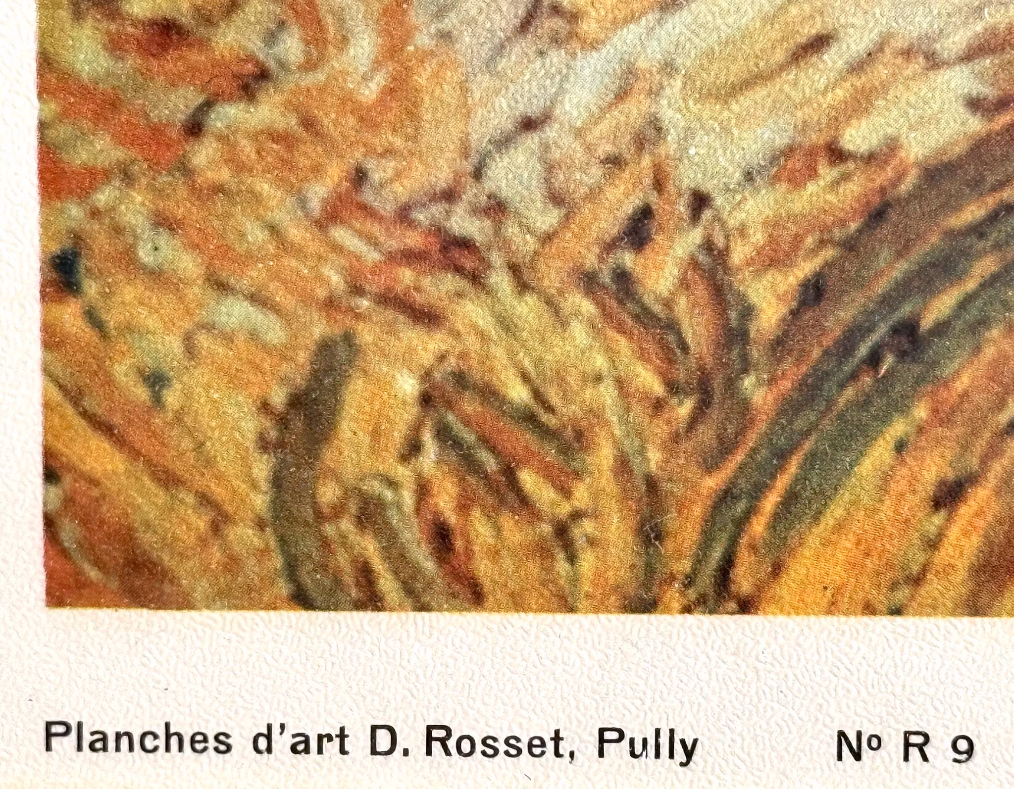 Vincent Van Gogh, Pole pszenicy z cyprysami, stary wydruk w ramie