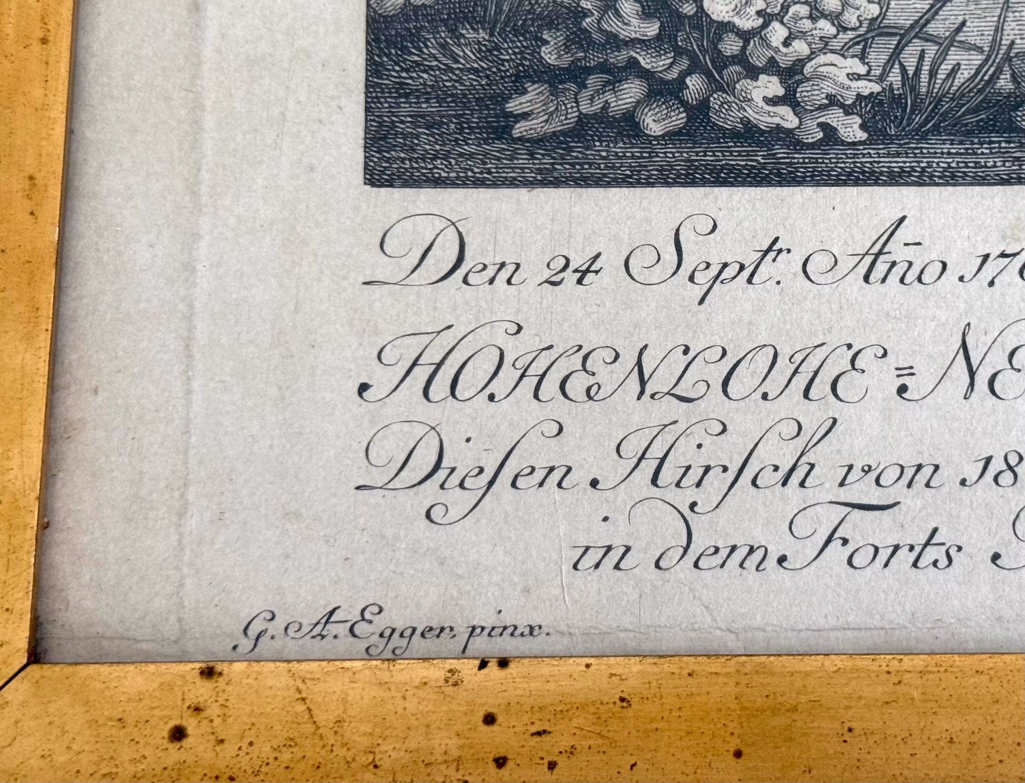 Martin Elias Ridinger