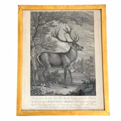 Martin Elias Ridinger