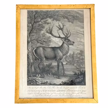 Martin Elias Ridinger