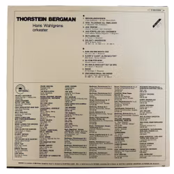 Thorstein Bergman – Sans titre, vinyle LP